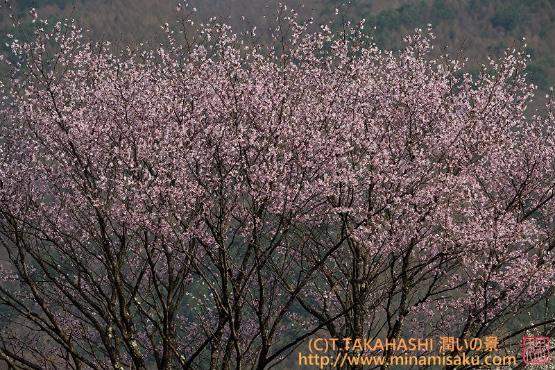 ../Images/7R250419 (86).jpg